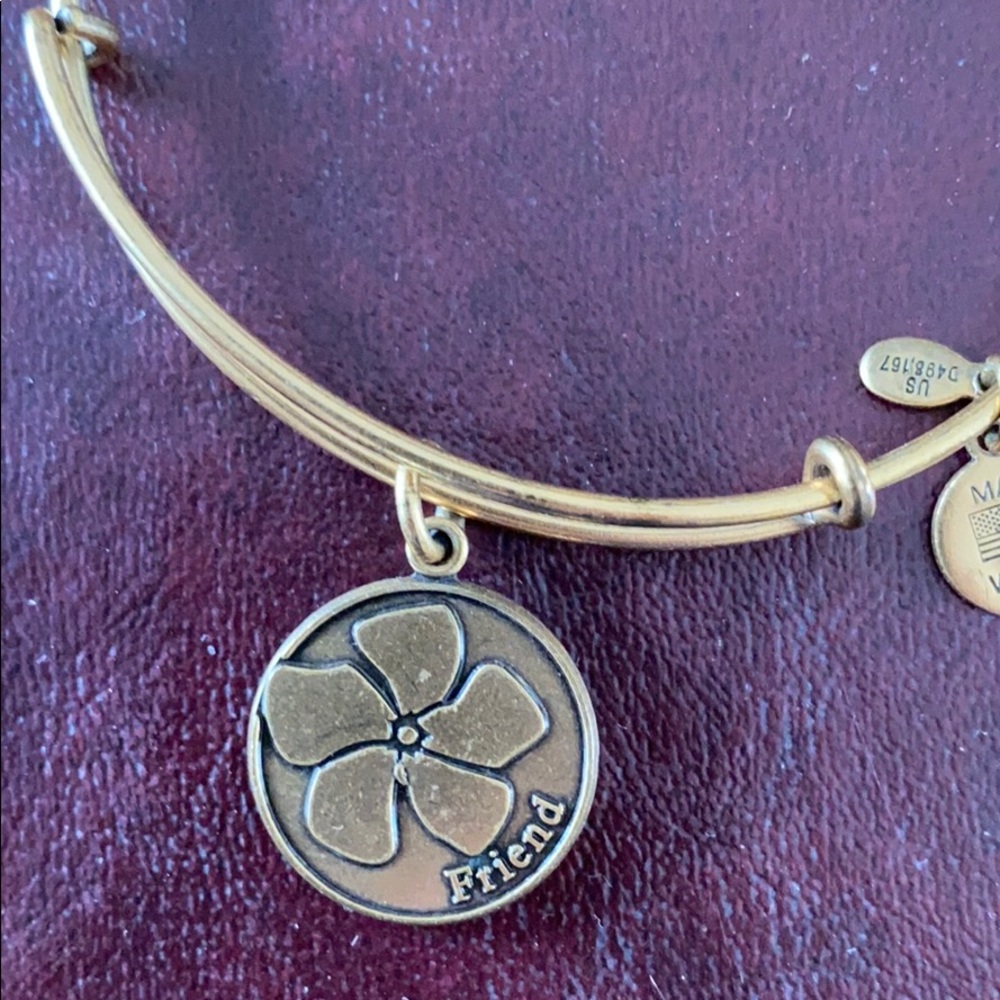 Alex & Ani bracelet w/ FRIEND charm - Picture 2 of 5